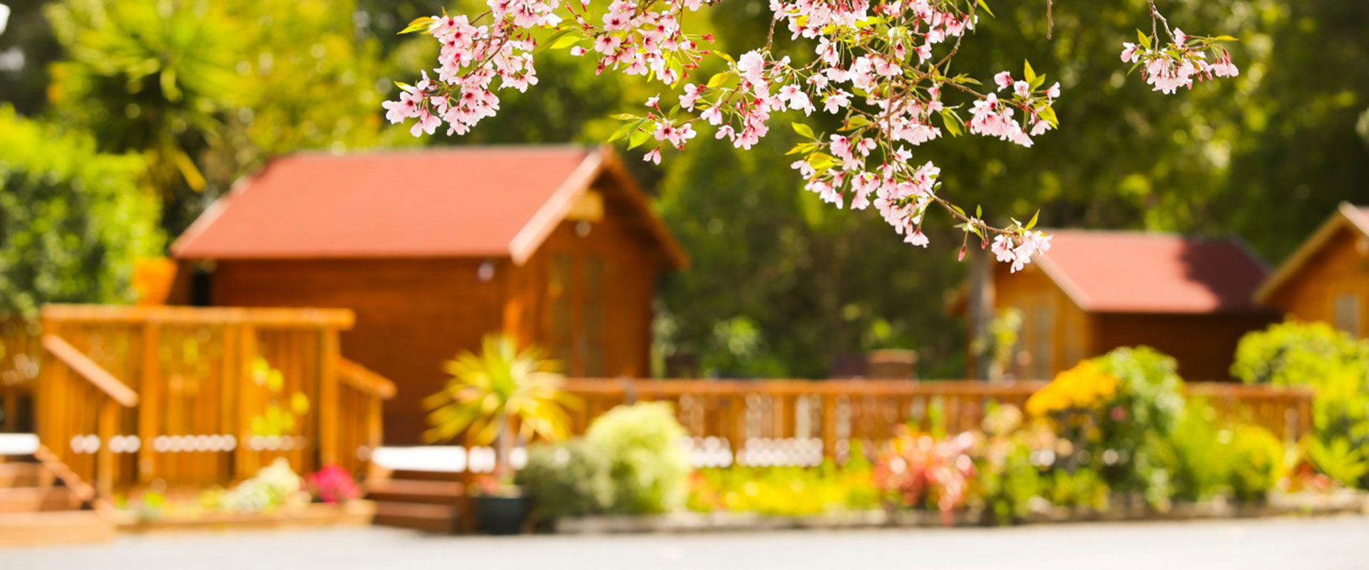 Orere Point caravan park